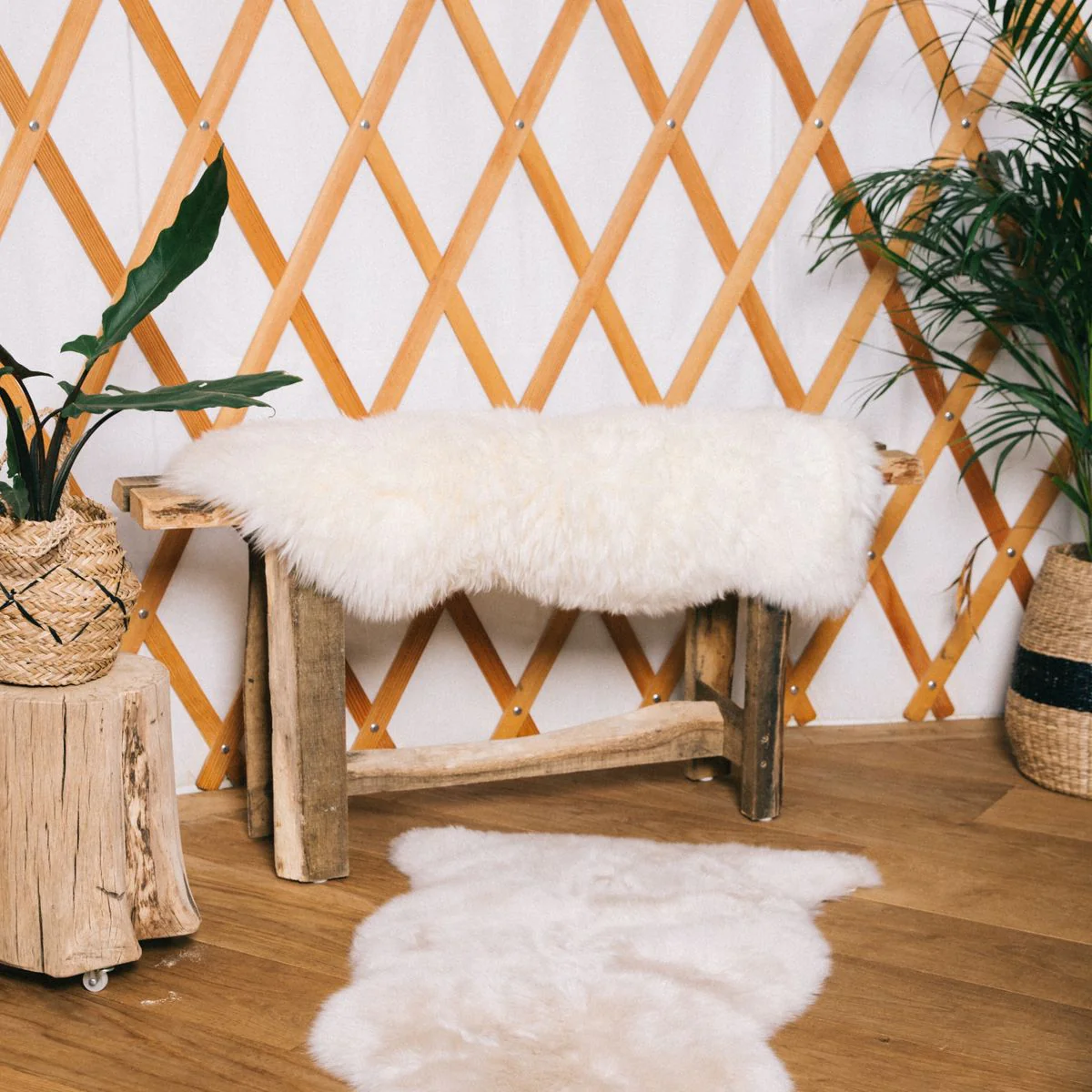 Saueskinn | Langhåret | New Zealand | 100x60 cm - Image 9