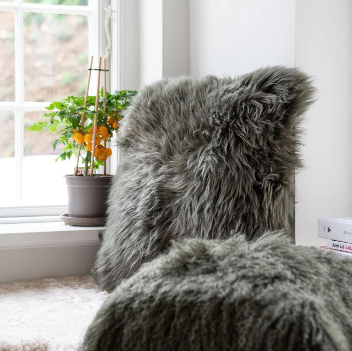 Saueskinnspute | Langhåret | New Zealand | 50x50 cm - Image 23