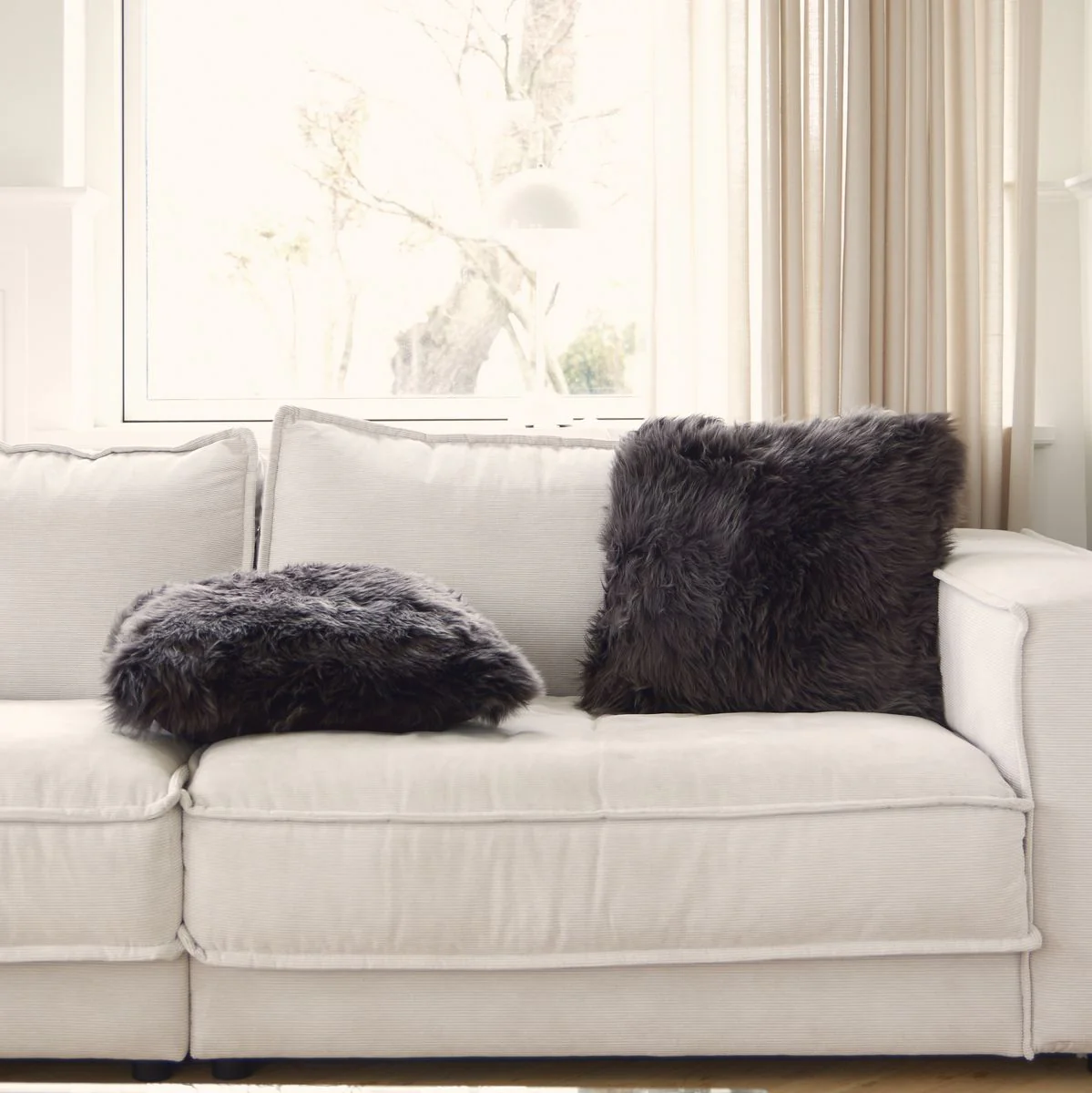 Saueskinnspute | Langhåret | New Zealand | 50x50 cm - Image 24