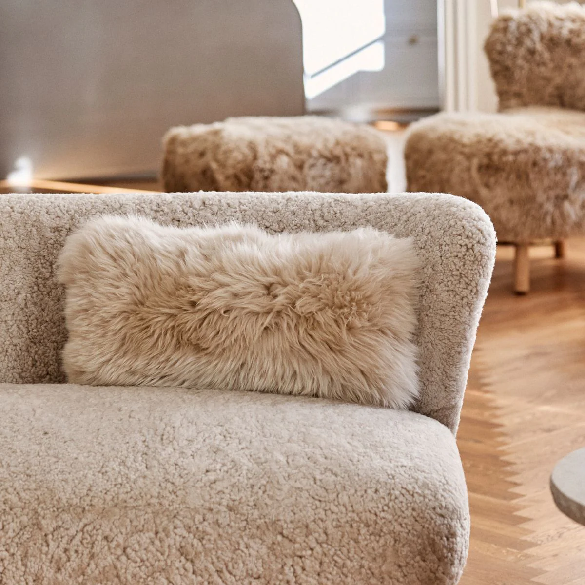 Saueskinnspute | Langhåret | New Zealand | 28x56 cm - Image 22