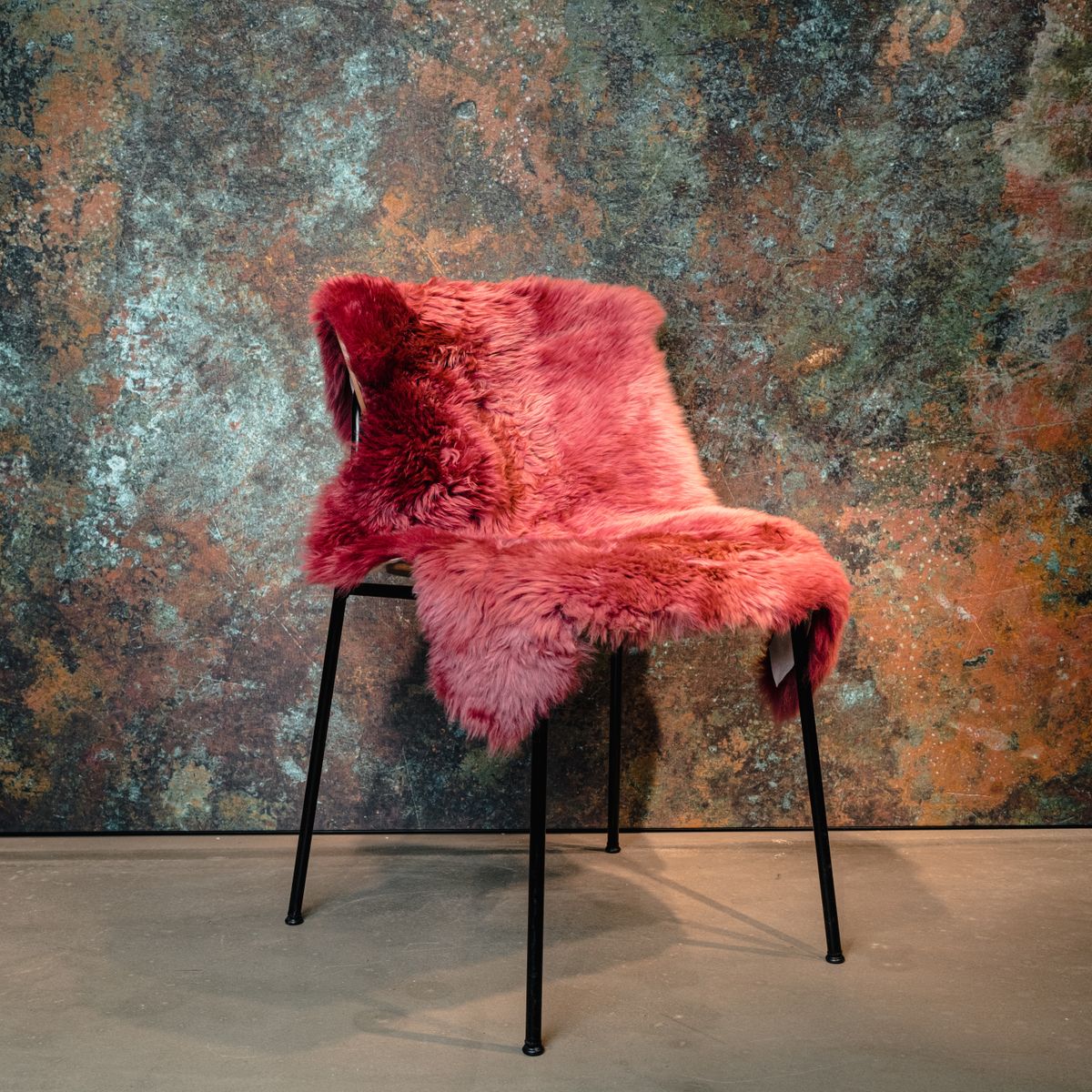 Merino saueskinn | Langhåret | New Zealand | Ca. 90x60 cm - Image 4